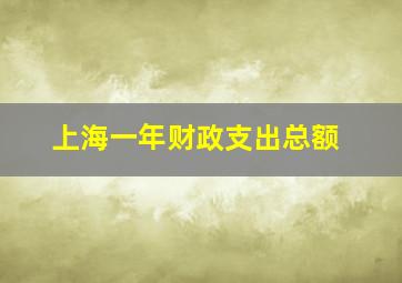 上海一年财政支出总额