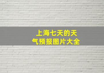 上海七天的天气预报图片大全