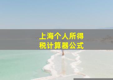 上海个人所得税计算器公式