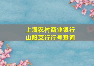 上海农村商业银行山阳支行行号查询