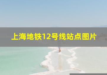 上海地铁12号线站点图片