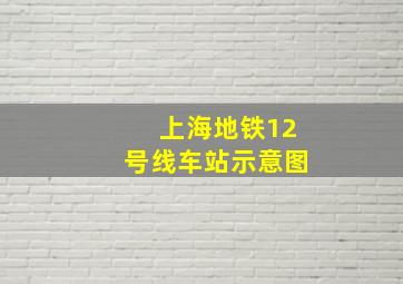 上海地铁12号线车站示意图