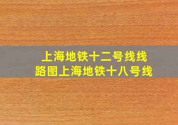 上海地铁十二号线线路图上海地铁十八号线