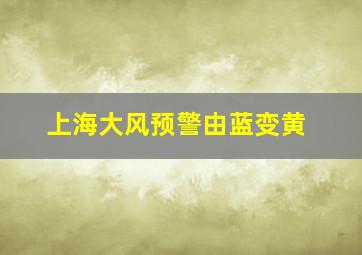 上海大风预警由蓝变黄