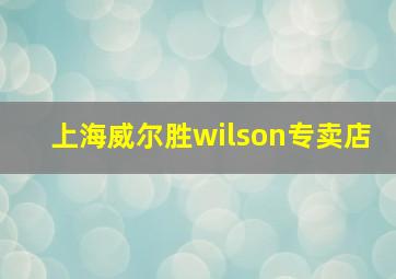 上海威尔胜wilson专卖店