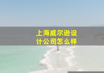 上海威尔逊设计公司怎么样