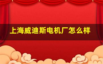 上海威迪斯电机厂怎么样