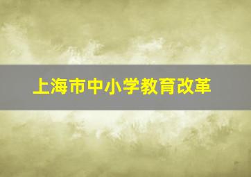 上海市中小学教育改革