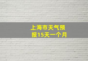 上海市天气预报15天一个月