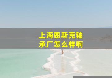 上海恩斯克轴承厂怎么样啊