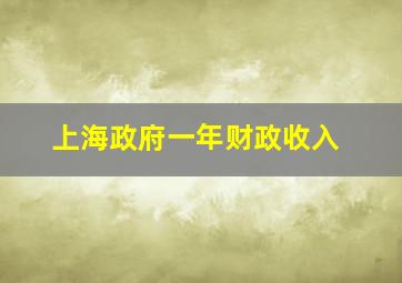 上海政府一年财政收入