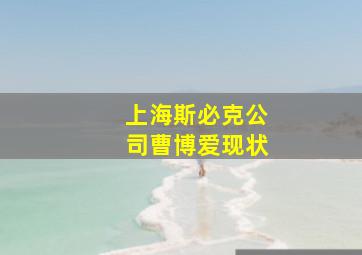 上海斯必克公司曹博爱现状