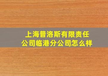 上海普洛斯有限责任公司临港分公司怎么样