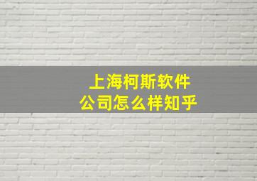 上海柯斯软件公司怎么样知乎