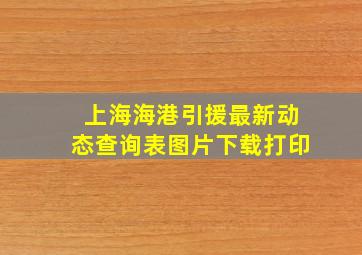 上海海港引援最新动态查询表图片下载打印