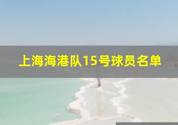 上海海港队15号球员名单