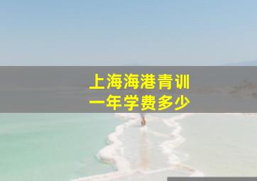 上海海港青训一年学费多少