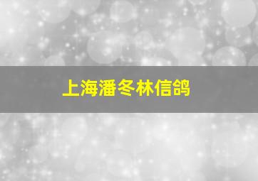 上海潘冬林信鸽