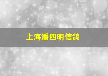 上海潘四明信鸽