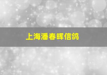 上海潘春晖信鸽