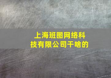 上海班图网络科技有限公司干啥的