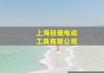 上海班迪电动工具有限公司