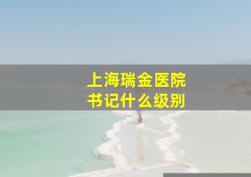 上海瑞金医院书记什么级别