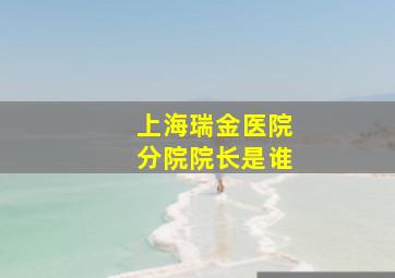 上海瑞金医院分院院长是谁