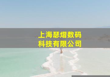 上海瑟熠数码科技有限公司