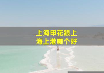 上海申花跟上海上港哪个好