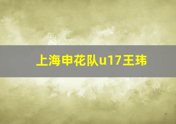 上海申花队u17王玮