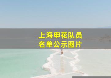 上海申花队员名单公示图片