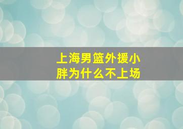 上海男篮外援小胖为什么不上场