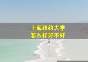 上海纽约大学怎么样好不好