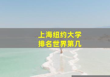 上海纽约大学排名世界第几