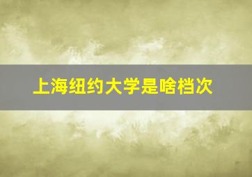 上海纽约大学是啥档次