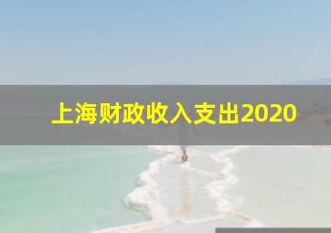 上海财政收入支出2020