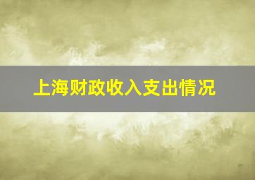 上海财政收入支出情况