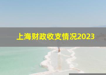 上海财政收支情况2023