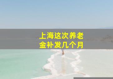 上海这次养老金补发几个月