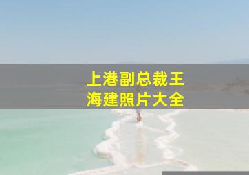 上港副总裁王海建照片大全