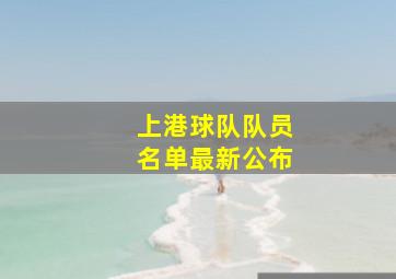 上港球队队员名单最新公布