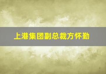 上港集团副总裁方怀勤