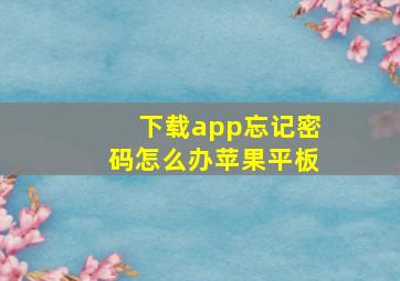 下载app忘记密码怎么办苹果平板