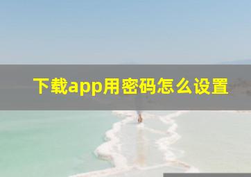 下载app用密码怎么设置