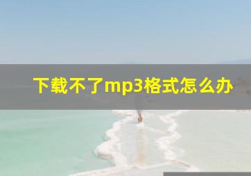 下载不了mp3格式怎么办