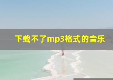 下载不了mp3格式的音乐