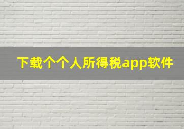 下载个个人所得税app软件