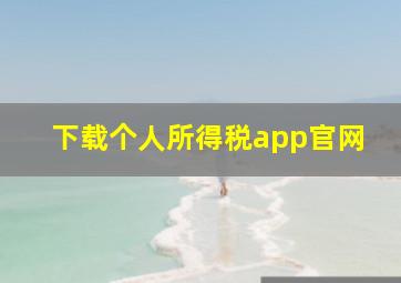 下载个人所得税app官网