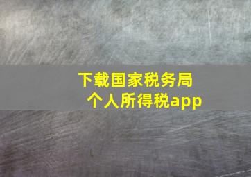 下载国家税务局个人所得税app